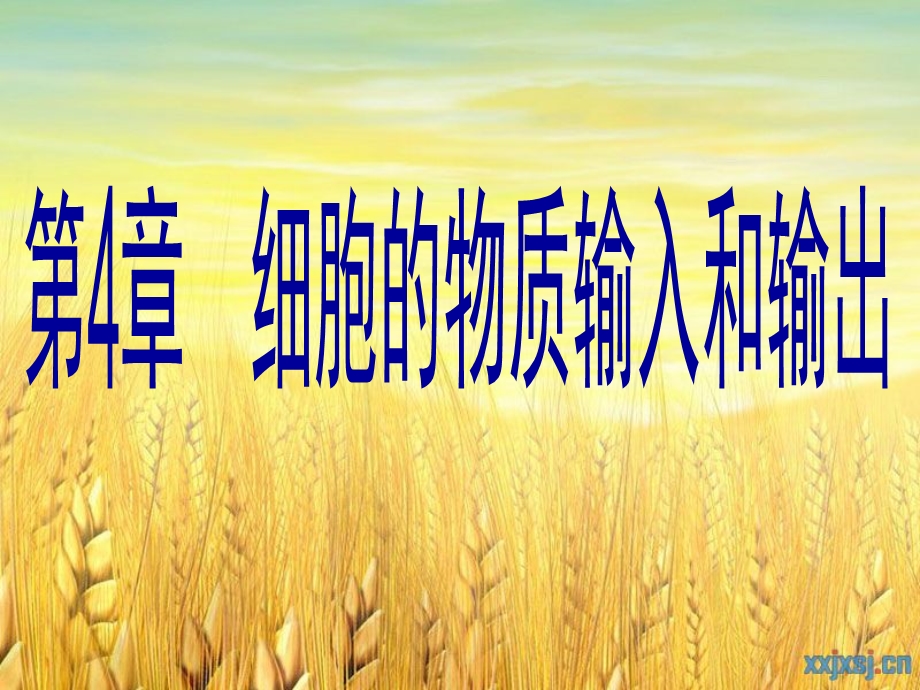 物质跨膜运输的实例课件(含动画).ppt_第1页