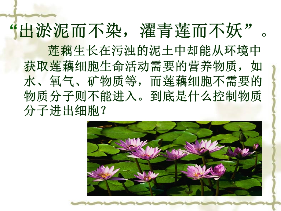 物质跨膜运输的实例课件(含动画).ppt_第2页