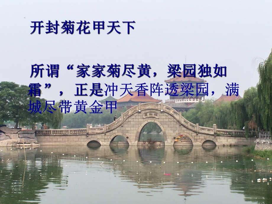 开封菊花109.ppt_第3页