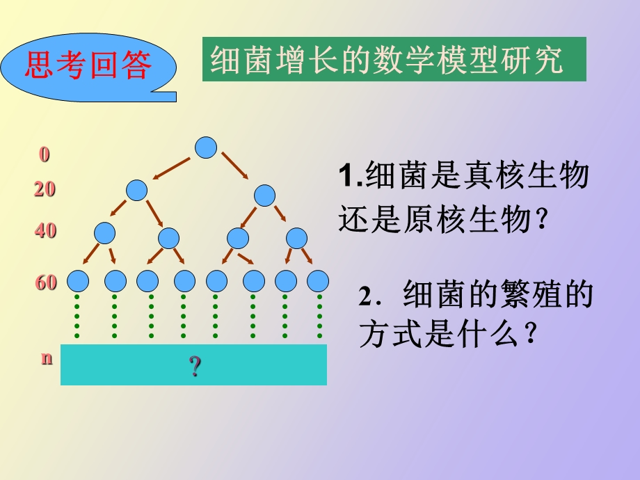 种群的数量变化.ppt_第2页