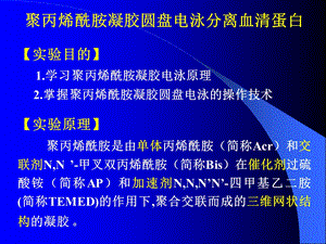 聚丙烯酰胺凝胶圆盘电泳分离血清蛋白.ppt