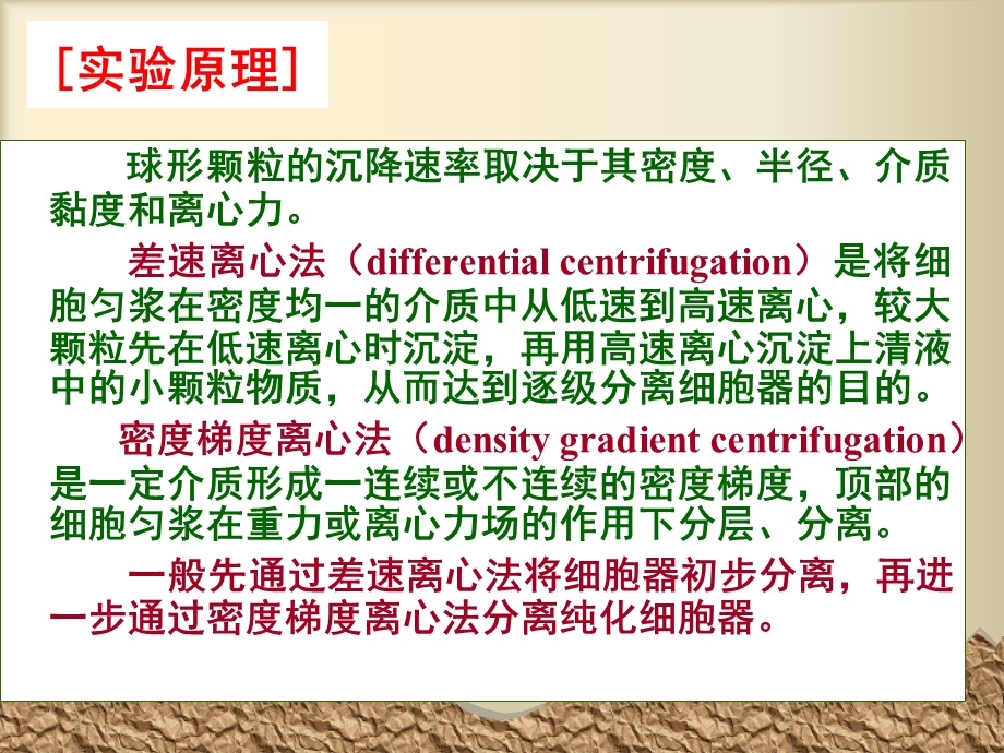 细胞器的分级分离.ppt_第3页