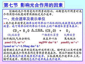 第七节影响光合作用的因素.ppt