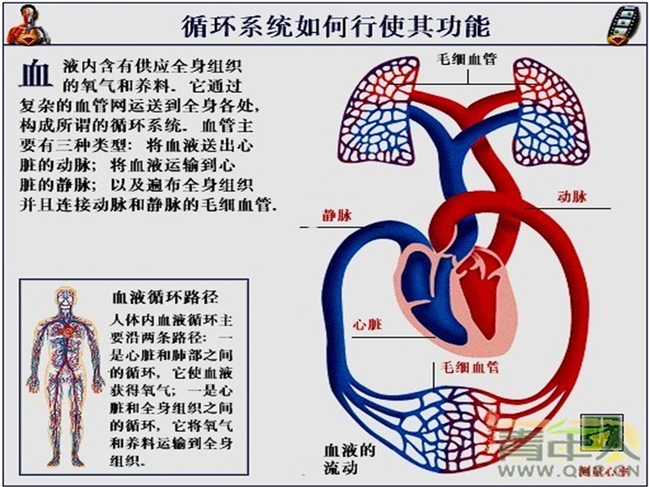 煤气安全培训-co中毒专题.ppt_第3页