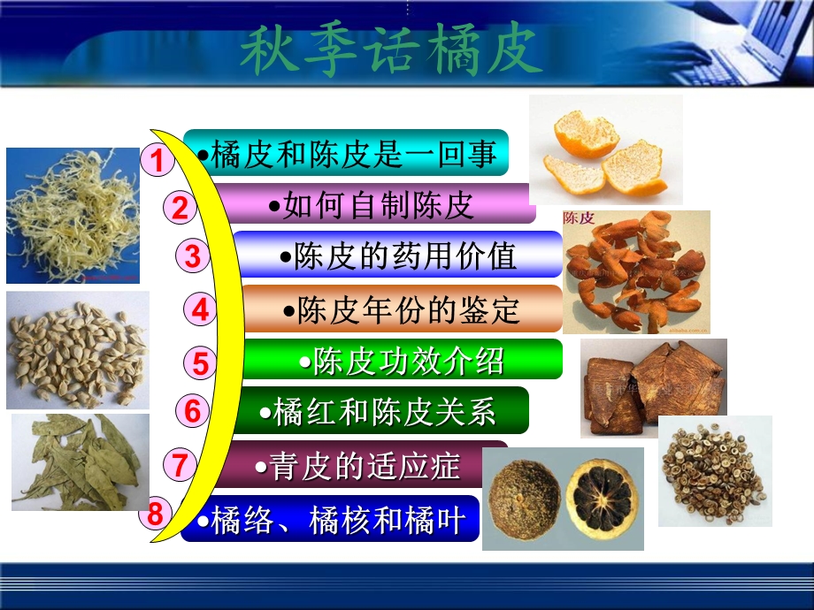 秋冬季话橘皮讲座.ppt_第2页