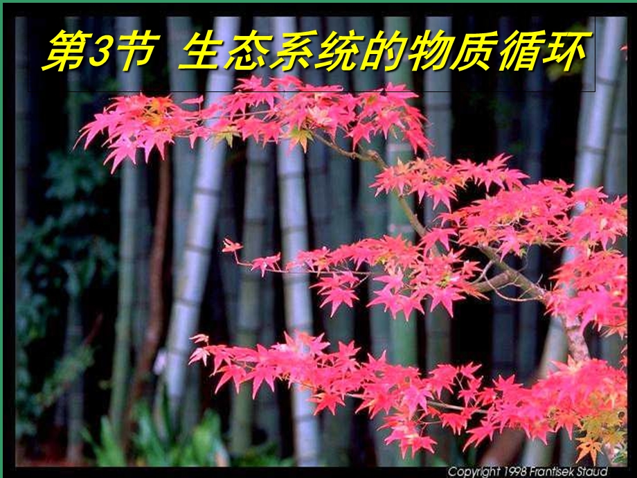 生态系统的物质循环(上课用).ppt_第2页