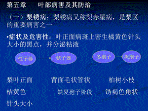 林木病理学7林学.ppt