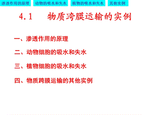 物质跨膜运输的实例-优质课(凤).ppt