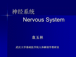 神经系统药学龚.ppt