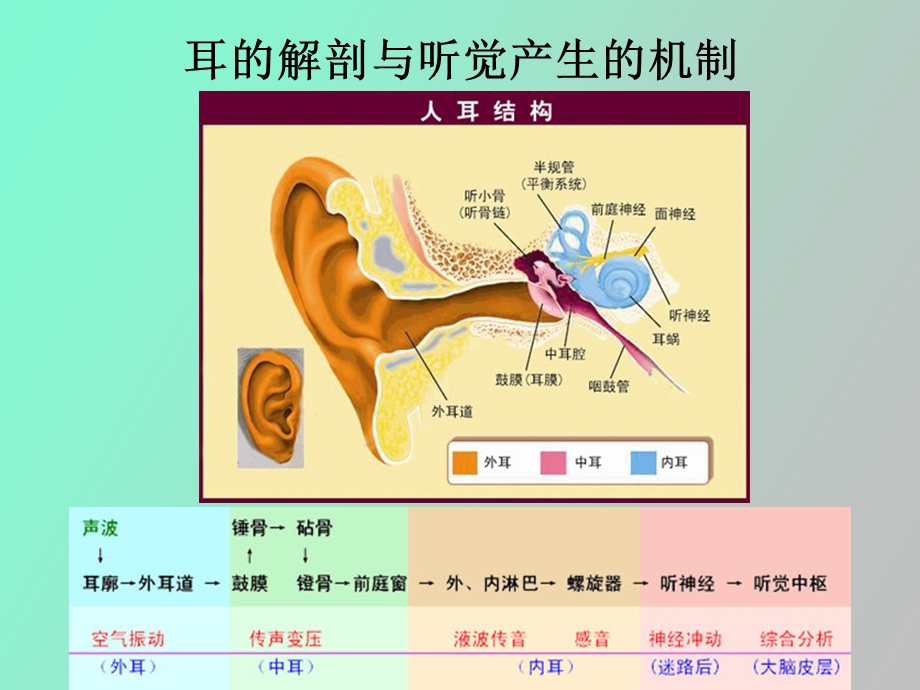 职业病危害及防护.ppt_第3页