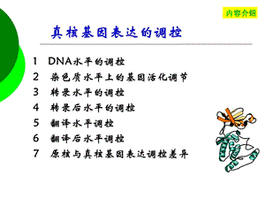 真核生物基因表达的调控.ppt