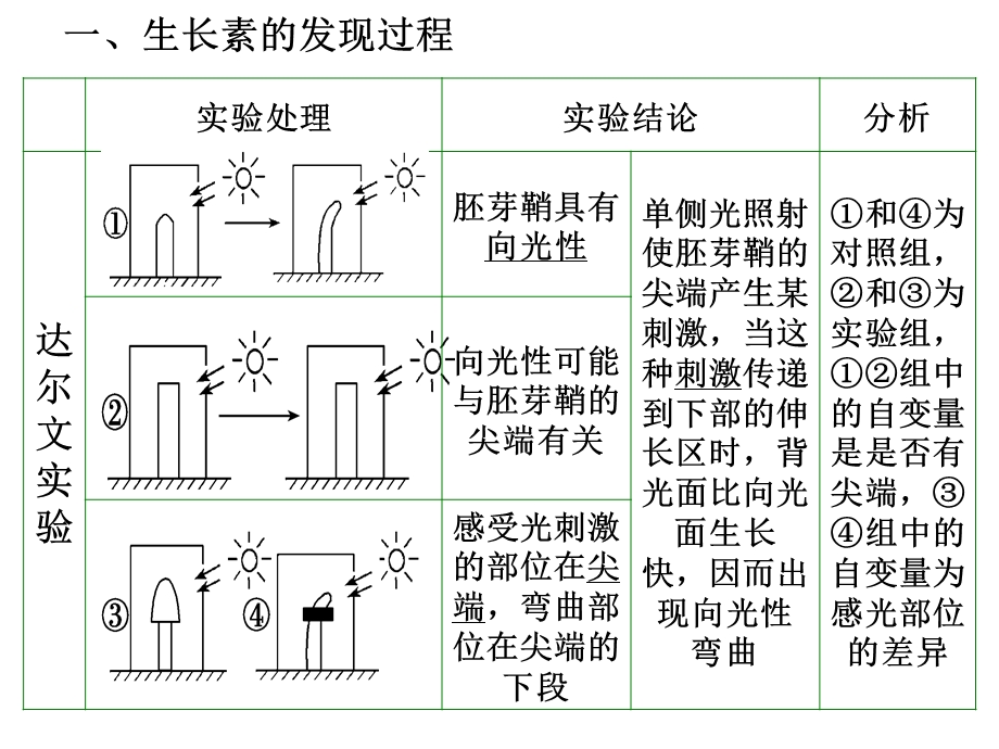 植物生长素(一轮复习).ppt_第2页