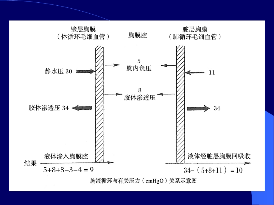 胸腔积液多媒体.ppt_第3页