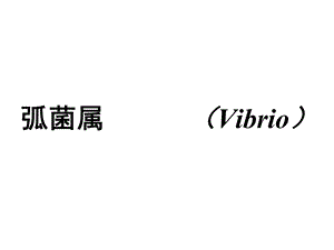 弧菌属Vibrio.ppt