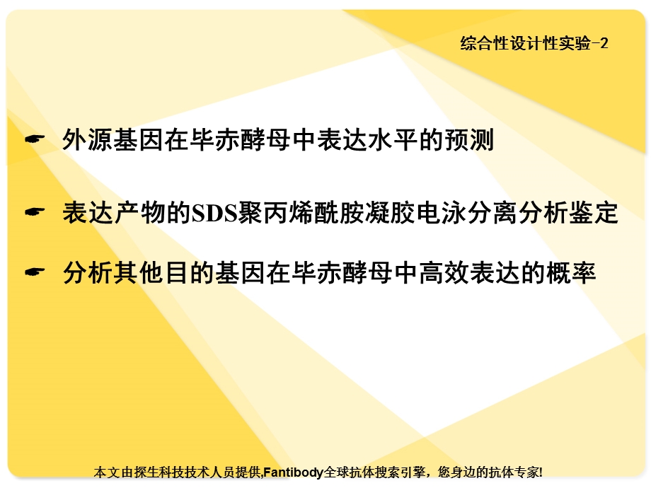 表达产物的SDS聚丙烯酰胺凝胶电泳分离分析鉴定.ppt_第1页