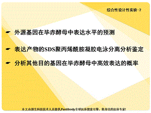 表达产物的SDS聚丙烯酰胺凝胶电泳分离分析鉴定.ppt