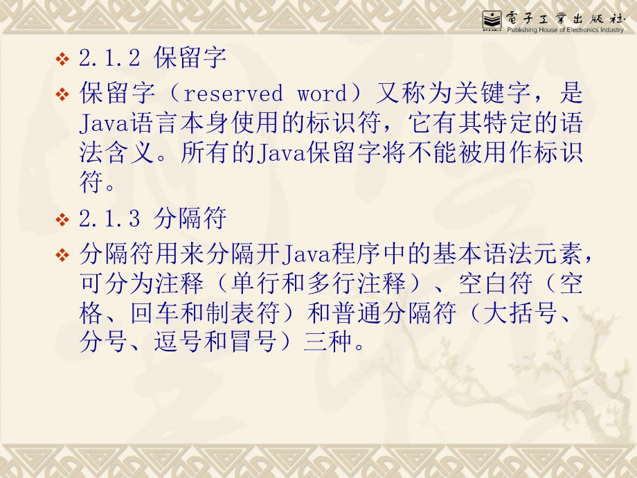 2.Java语言基础Java语言程序设计(陆迟编著).ppt_第3页
