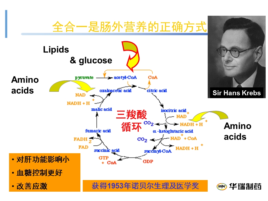 肠外营养治疗的一线选择.ppt_第3页