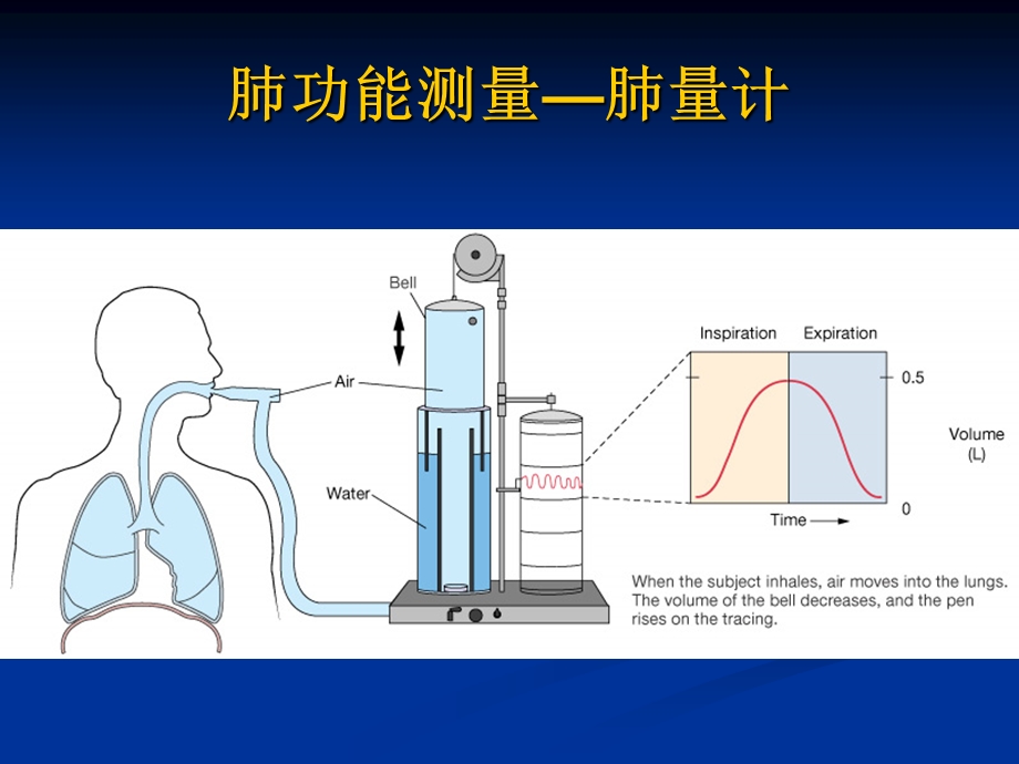 呼吸生理2.ppt_第3页