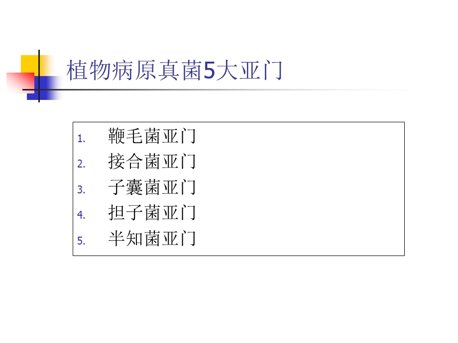 蔬菜病原真菌分类.ppt_第2页