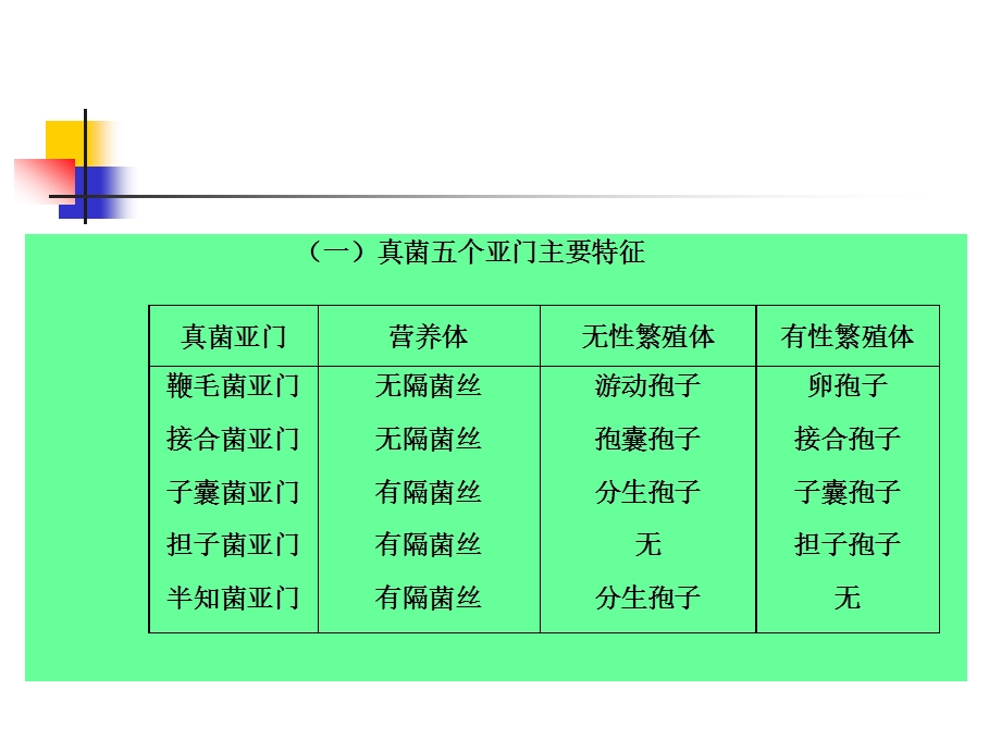 蔬菜病原真菌分类.ppt_第3页