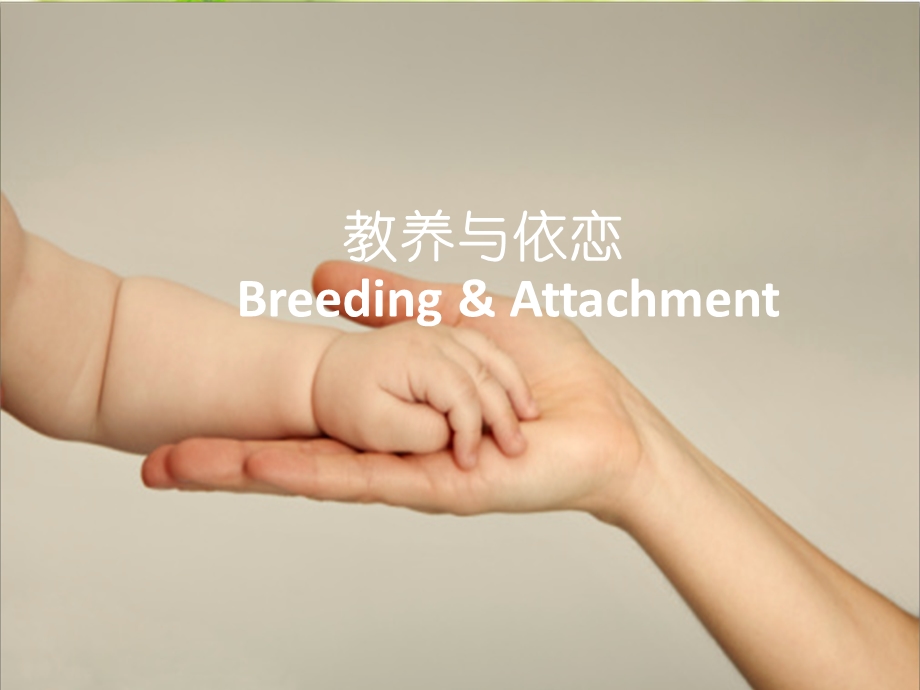 教养与依恋BreedingAttachment.ppt_第1页