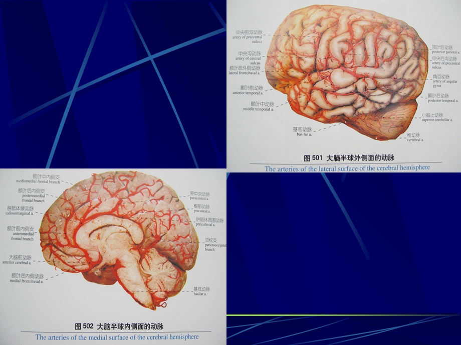 老年痴呆PPT课件.ppt_第2页