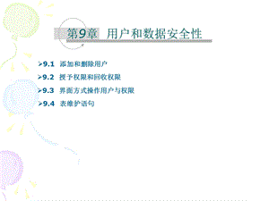 用户和数据安全性.ppt