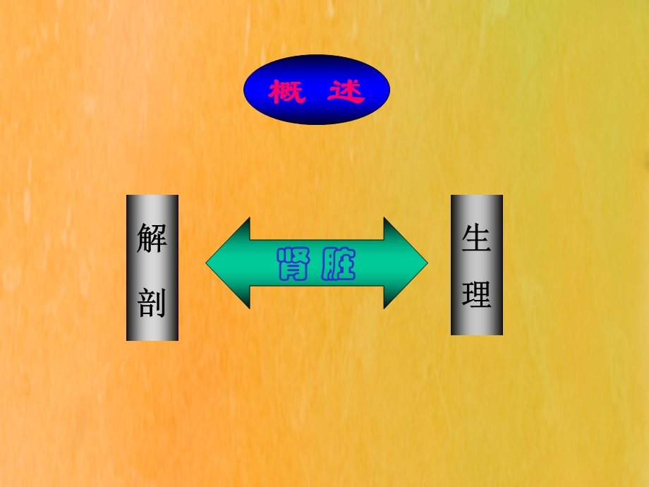 肾脏疾病病人的麻醉(石学银).ppt_第3页