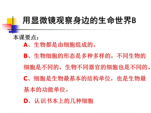 教科版科学六下用显微镜观察身边的生命世界课件之二.ppt