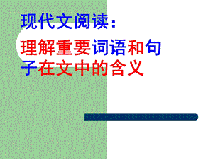 理解重要词语和句子在文中的含义.ppt