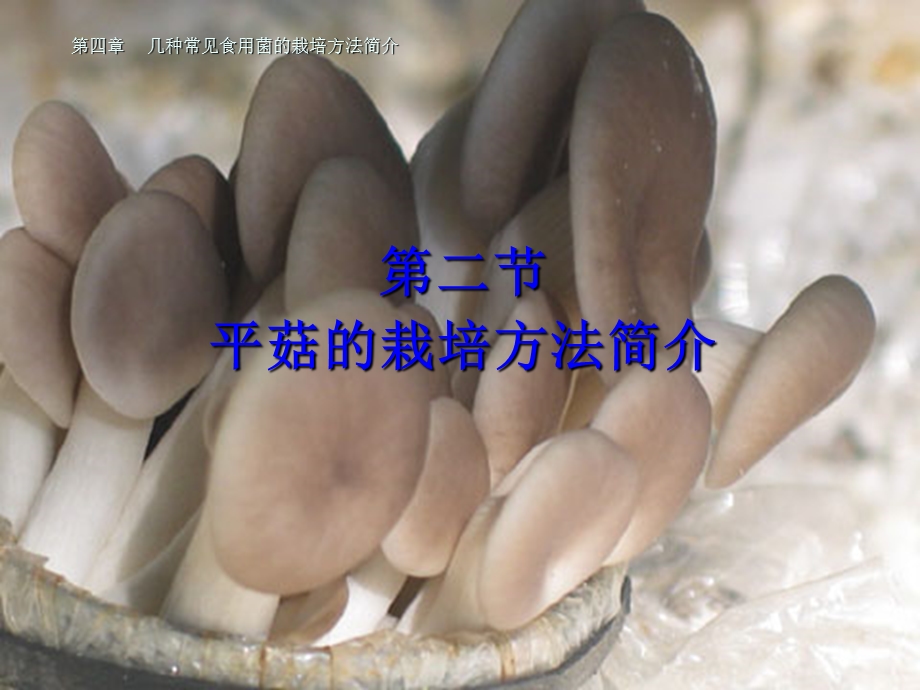 第四章几种常见食用菌的栽培方法.ppt_第1页