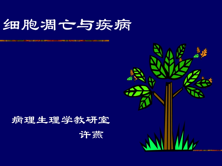 本科细胞凋亡.ppt_第1页