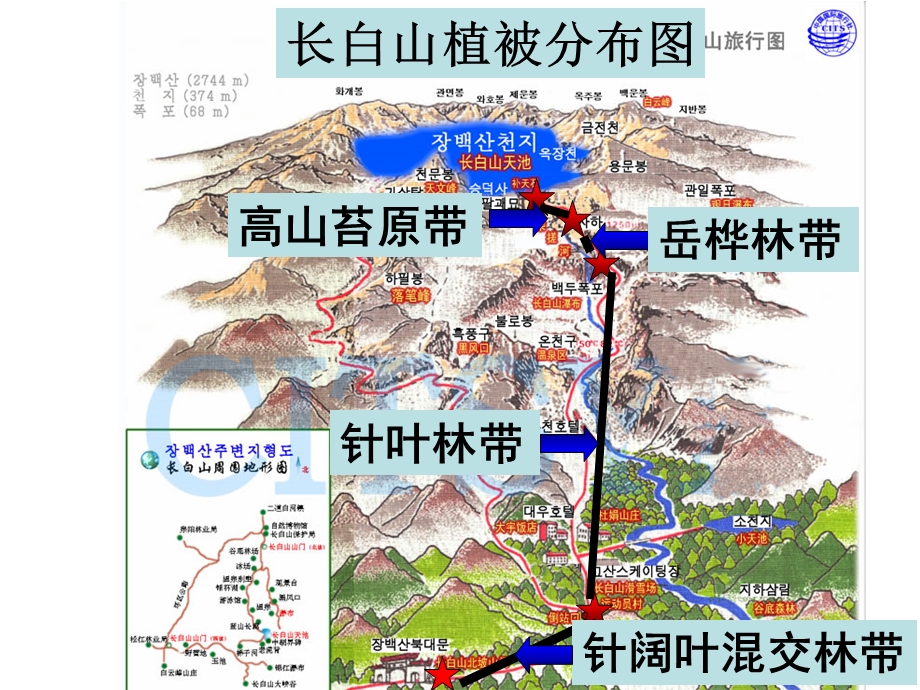 地域分异实例研究.ppt_第3页