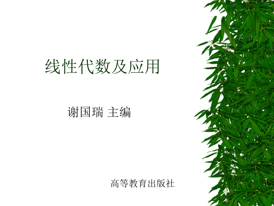 线性代数及应用.ppt_第1页