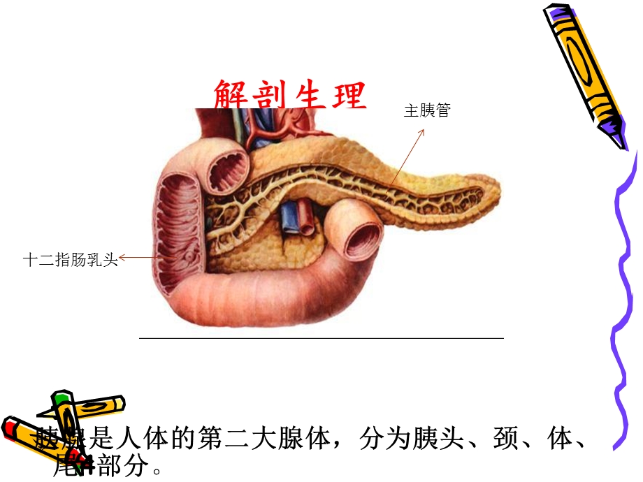 胰腺癌和壶腹周围.ppt_第3页