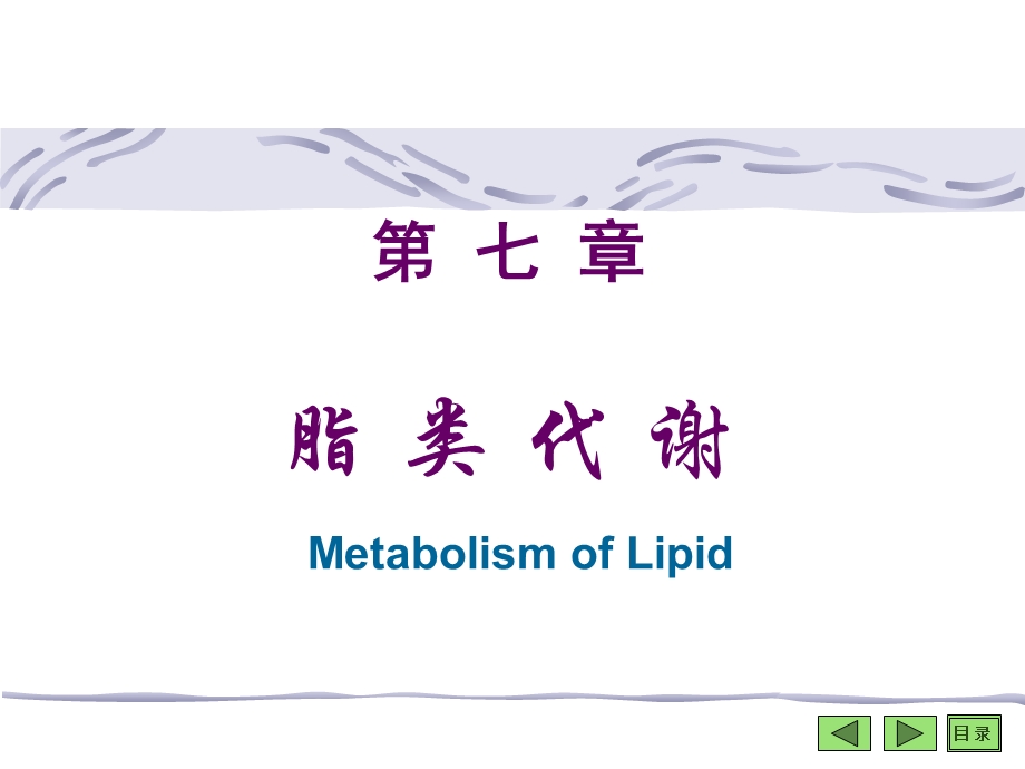 脂类代谢-生物化学.ppt_第1页