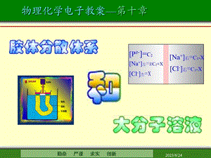 胶体分散体系和大分子溶液.ppt