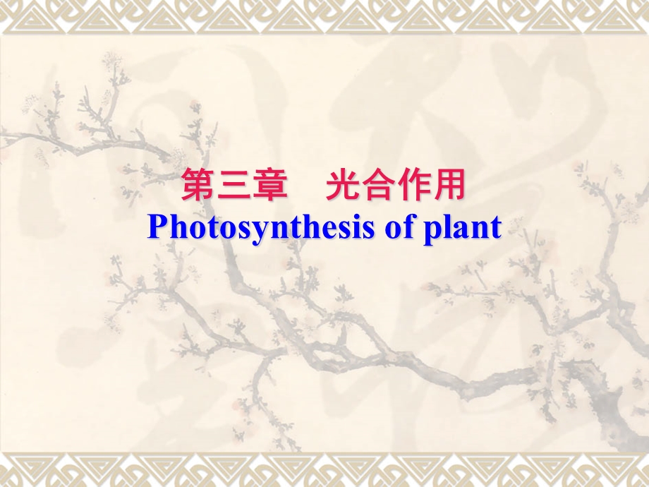 植物生理学-光合作用.ppt_第1页