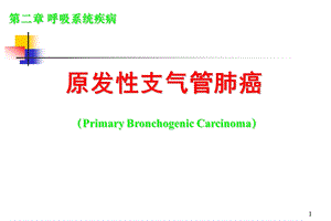 肺癌护理.ppt