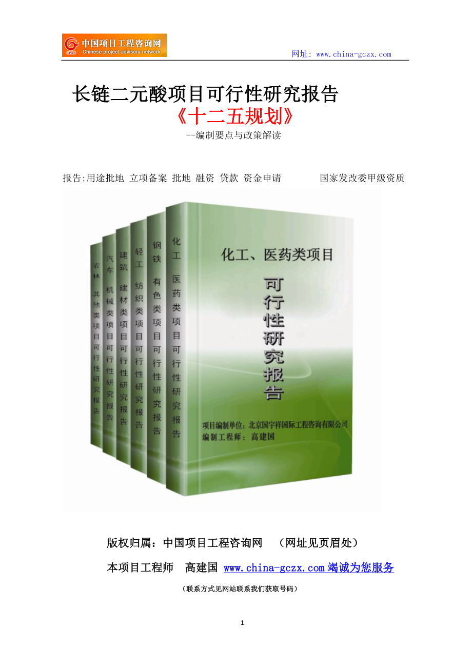 kt长链二元酸项目可行性研究报告立项范文格式.doc_第1页