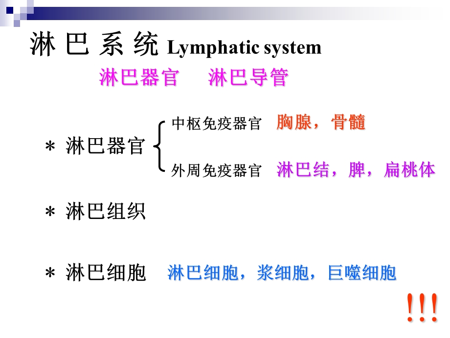 淋巴系统与免疫.ppt_第2页