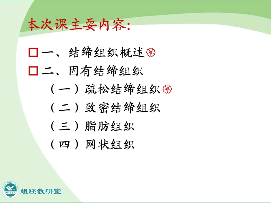 结缔组织PKgai.ppt_第3页