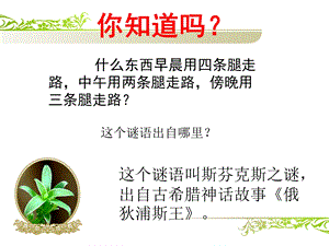 认识自己(心理健康课件).ppt