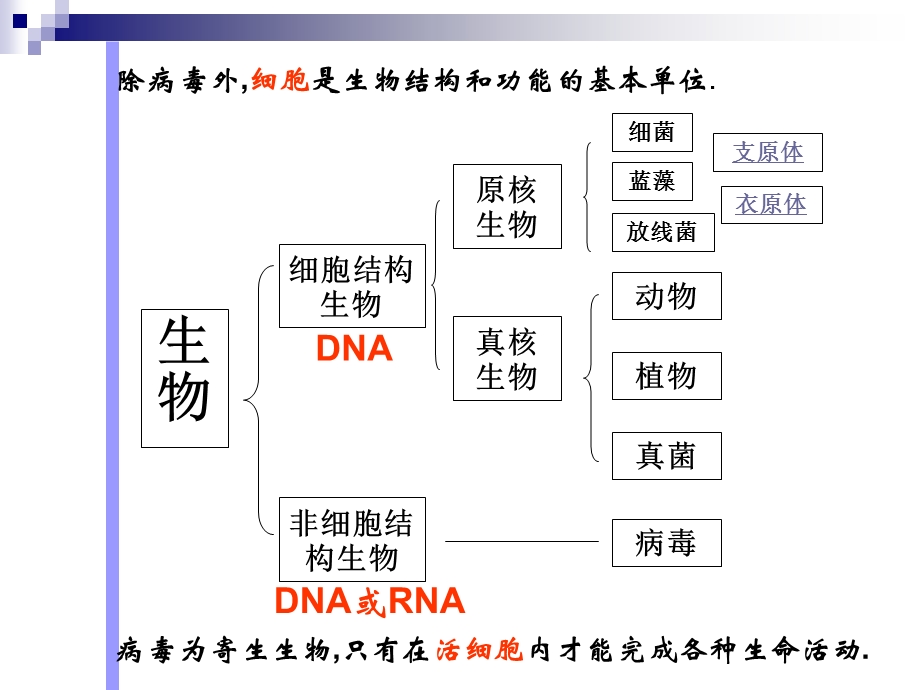 走进细胞一轮复习(定稿).ppt_第3页