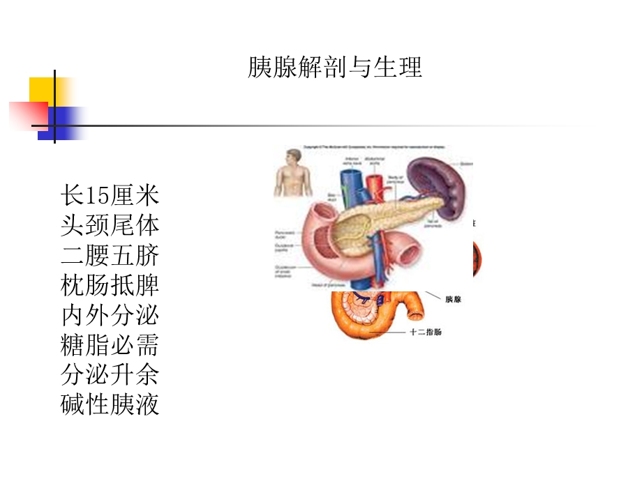 胰腺炎诊治指南.ppt_第2页