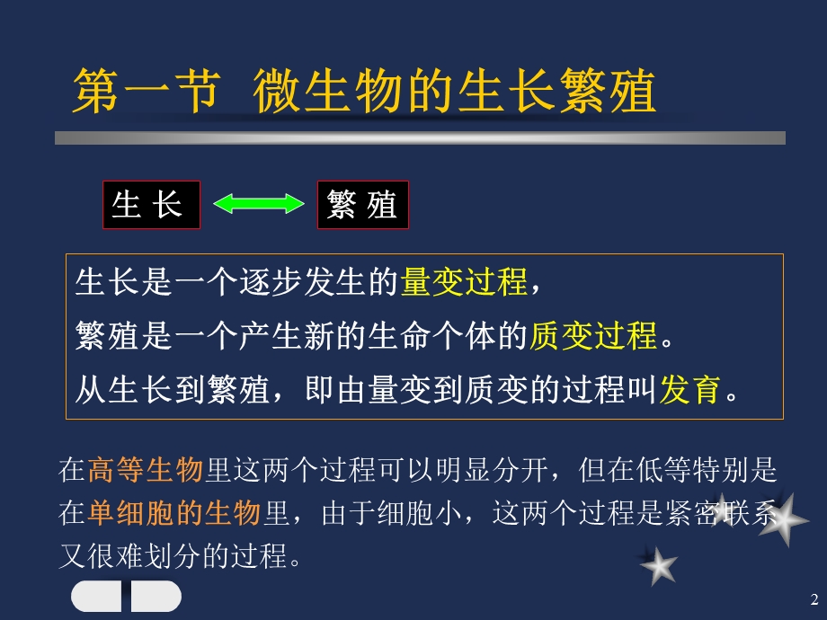 生长繁殖和生长因子.ppt_第2页