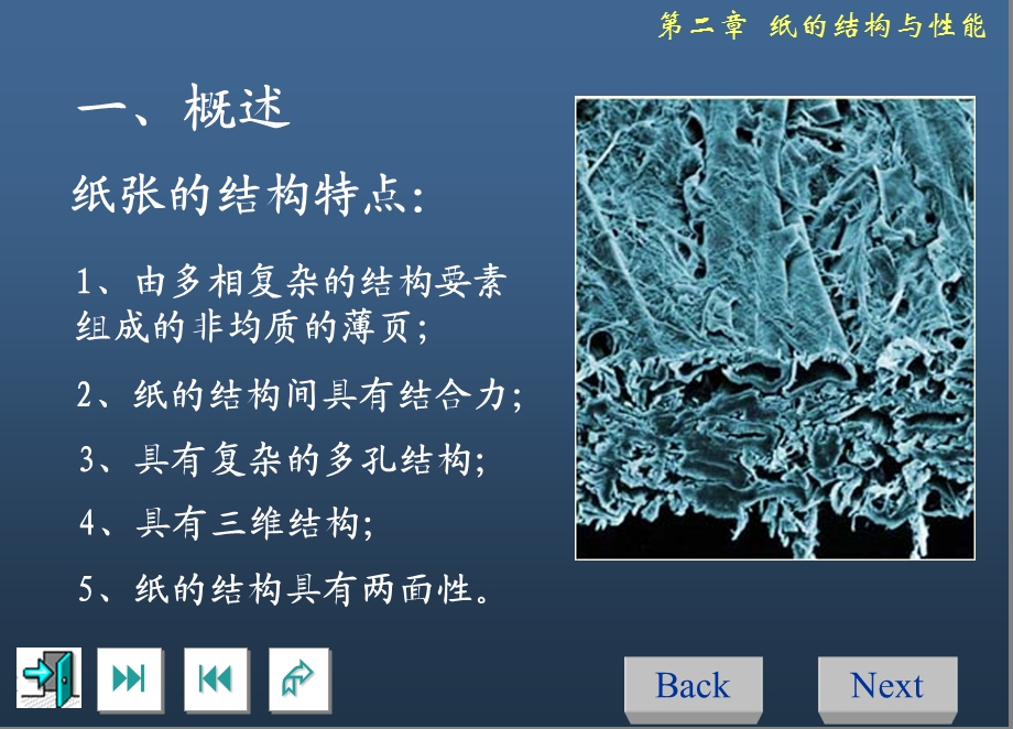 第二章纸的结构与性能.ppt_第2页