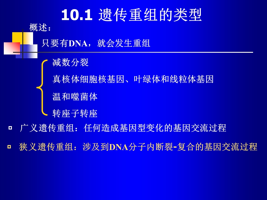 遗传重组和转座子.ppt_第3页