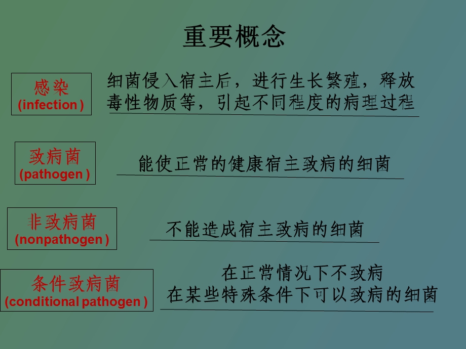 细菌的感染与免疫.ppt_第2页